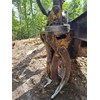 2014 Tigercat 234 Log Loader
